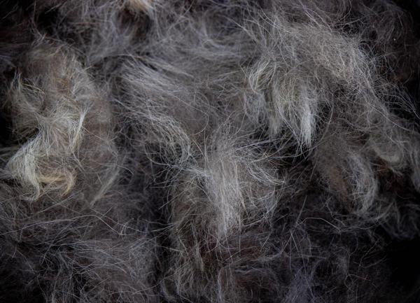 Fibers